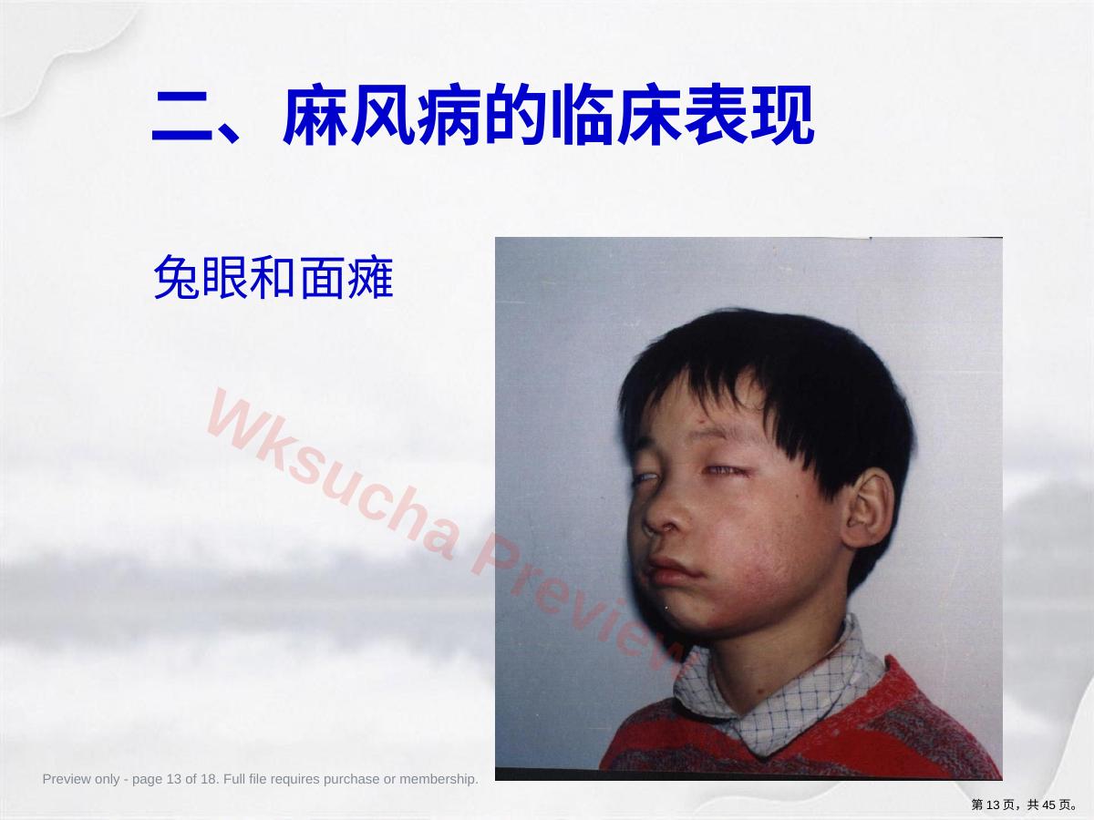 预览第 13 页