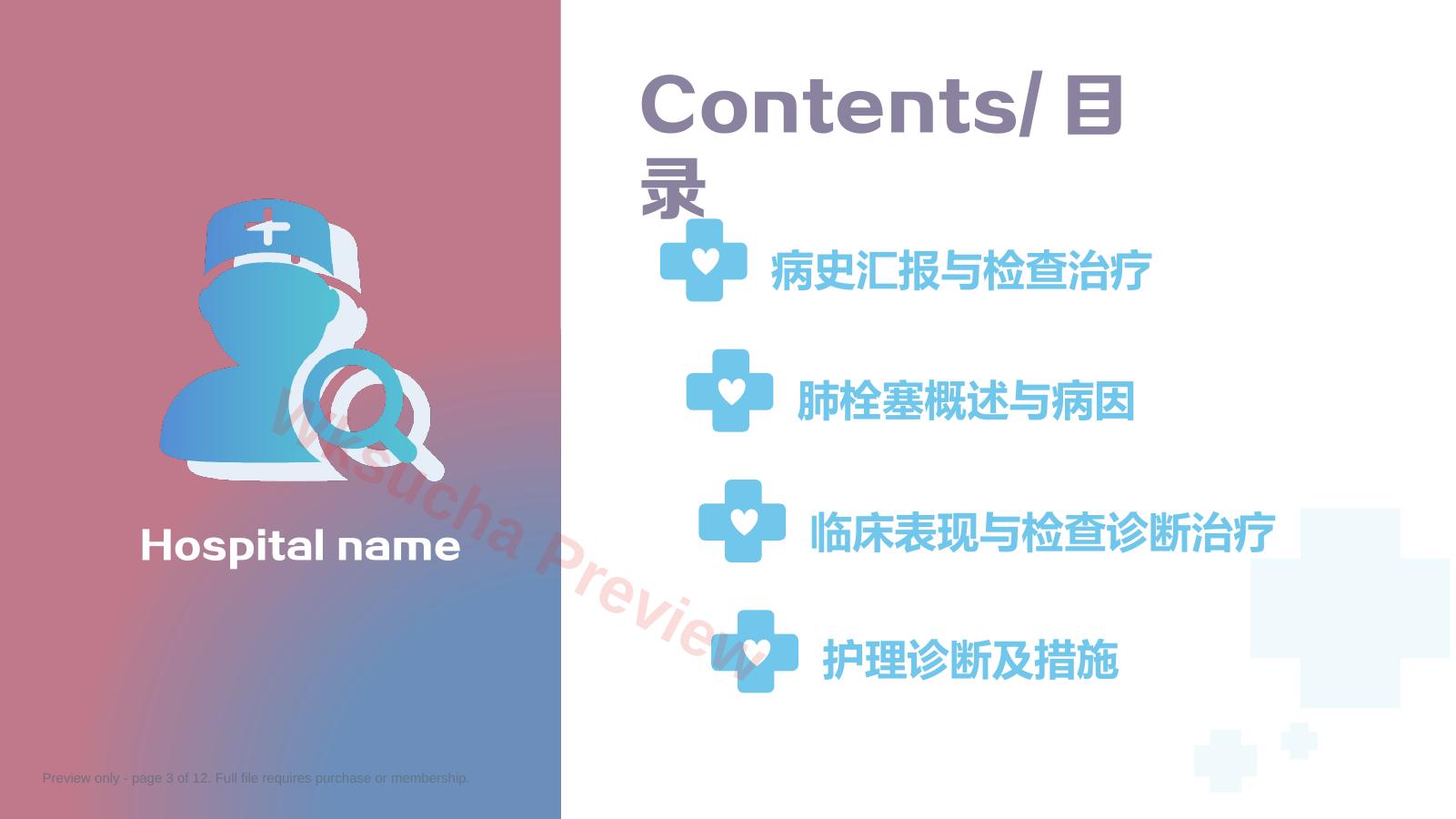 预览第 3 页