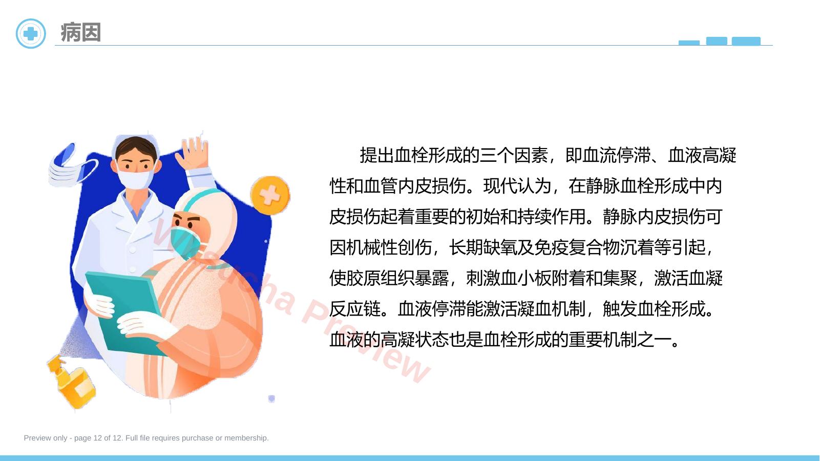 预览第 12 页