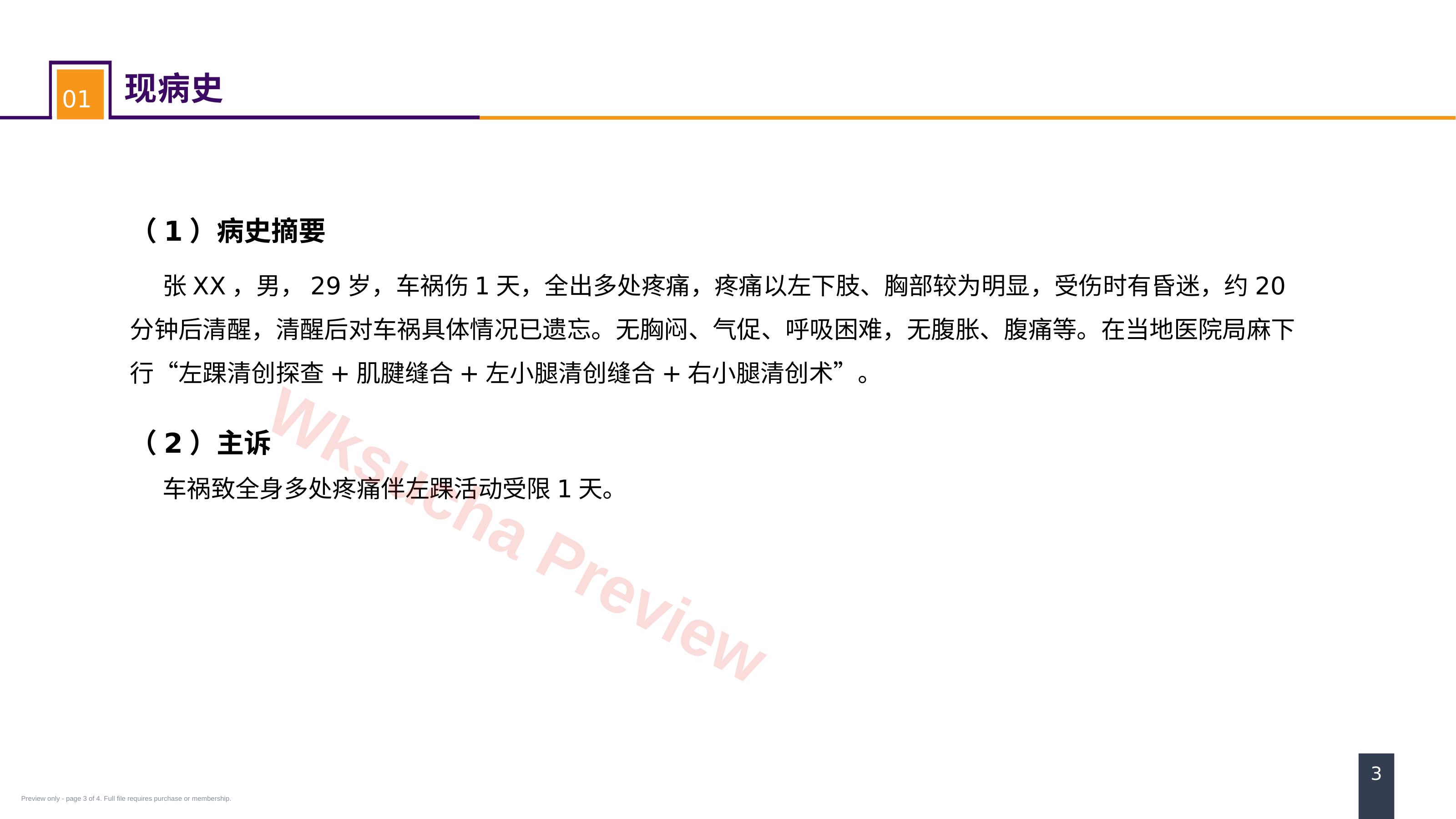 预览第 3 页