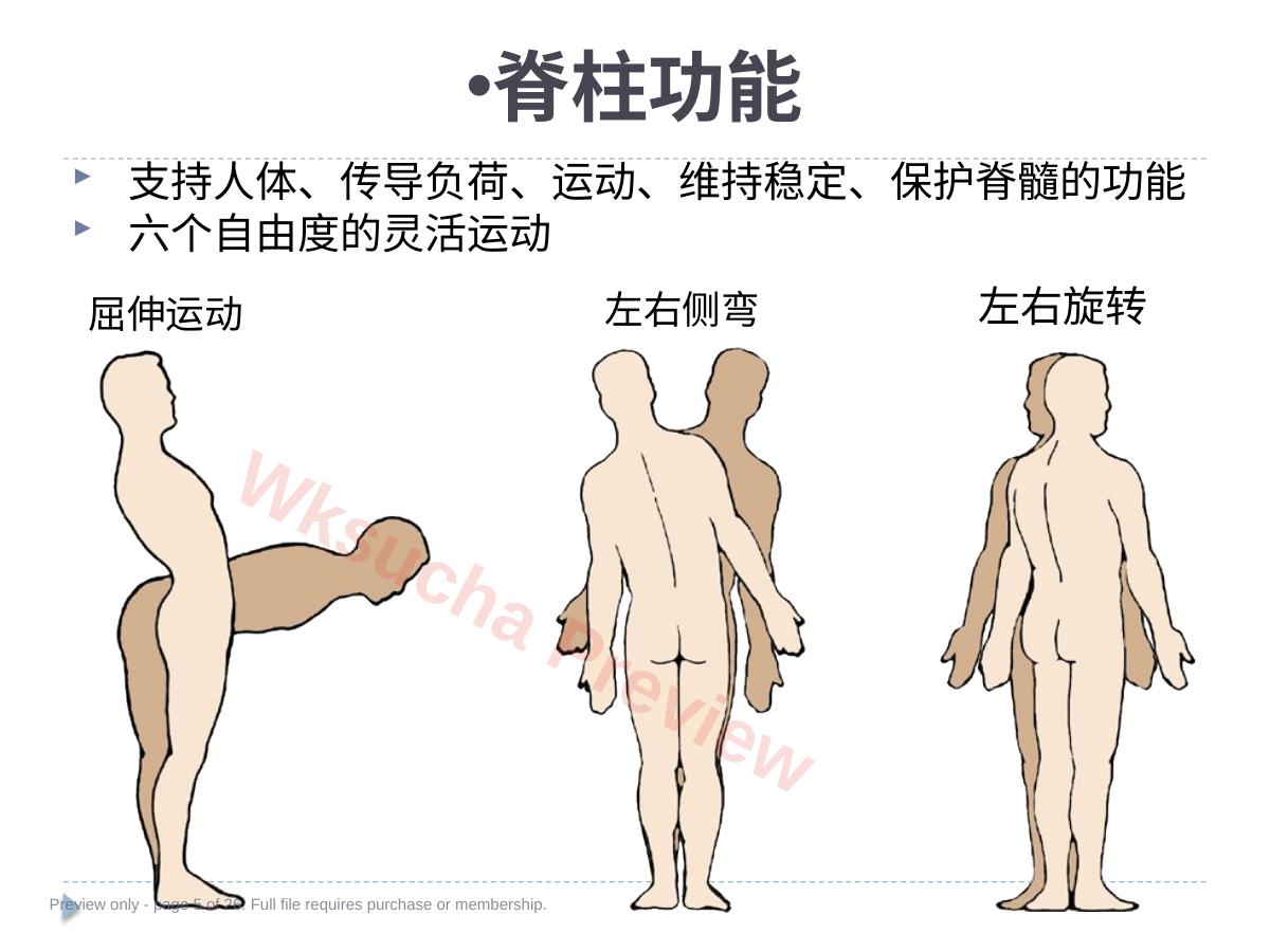 预览第 5 页