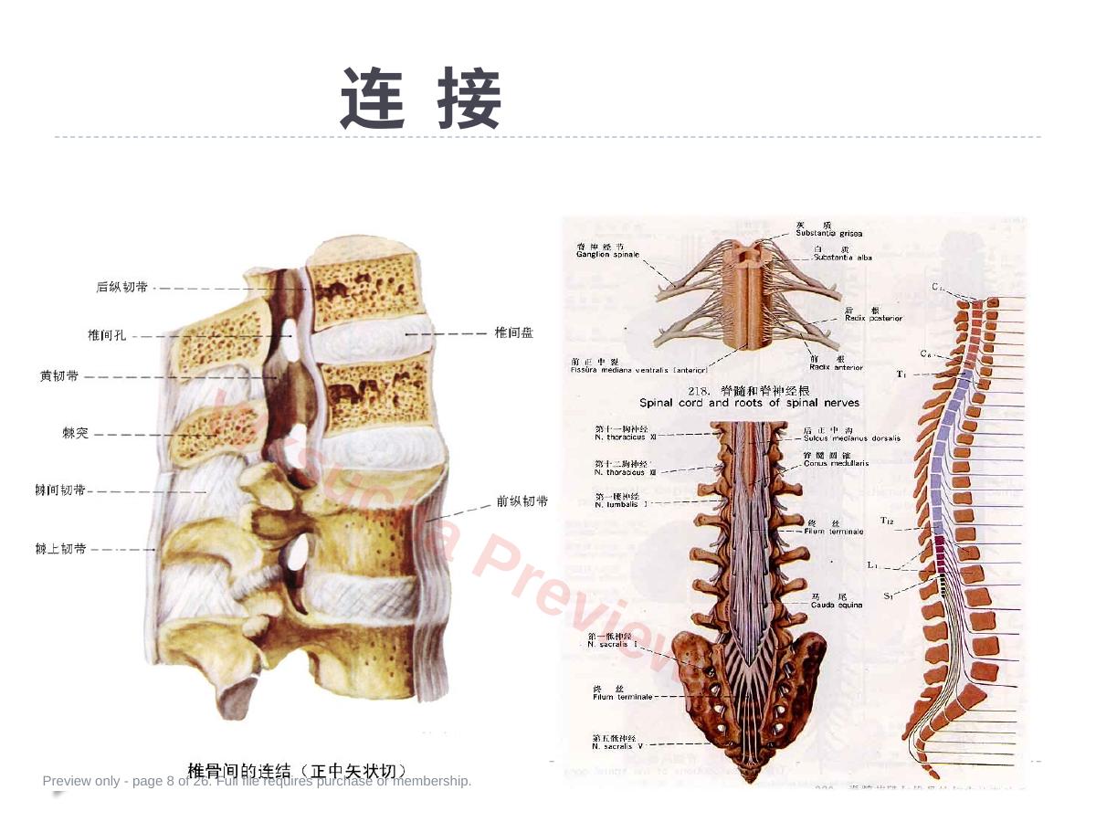 预览第 8 页