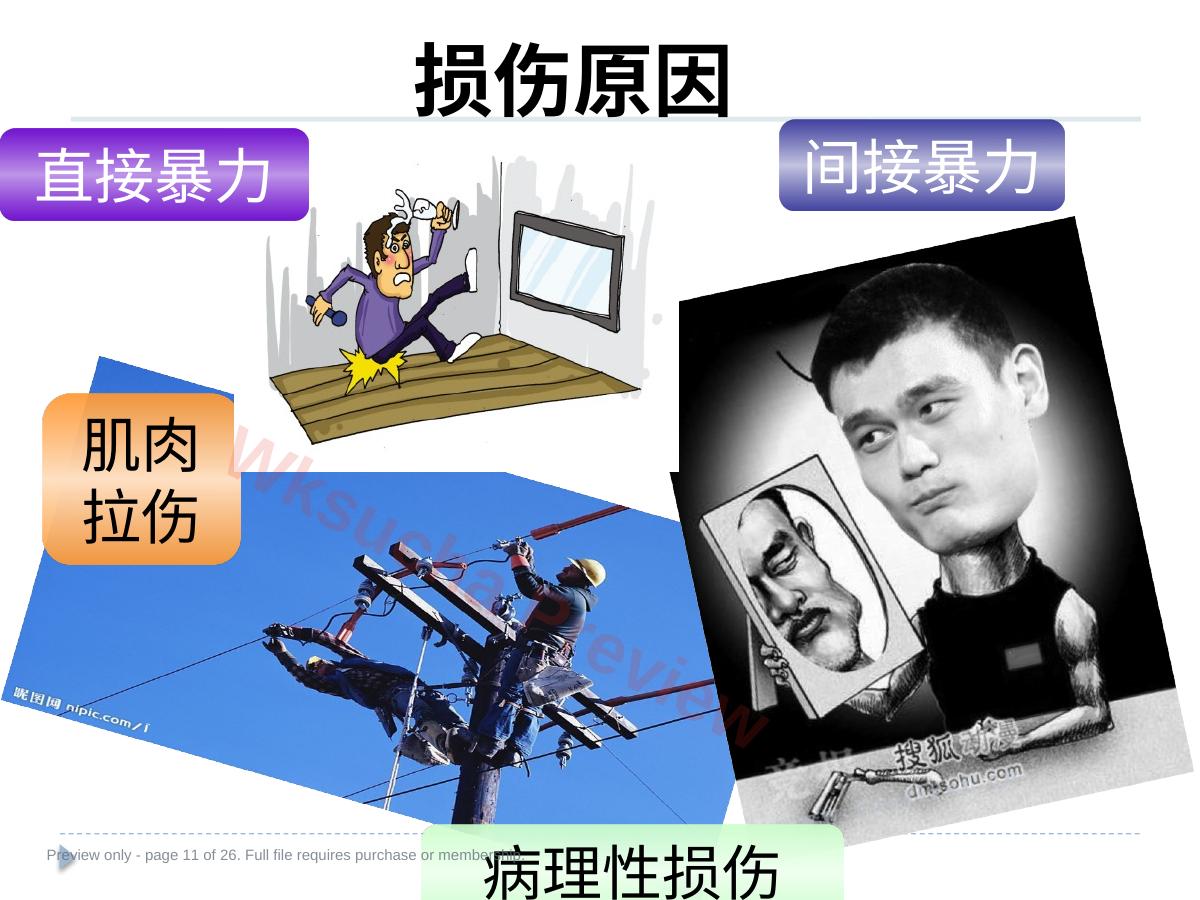 预览第 11 页