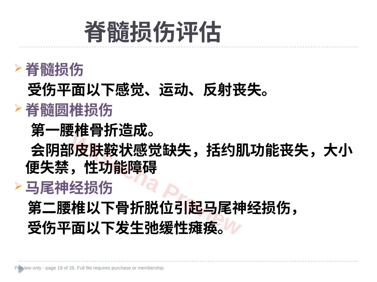 预览第 19 页
