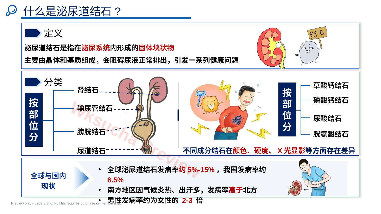 预览第 3 页