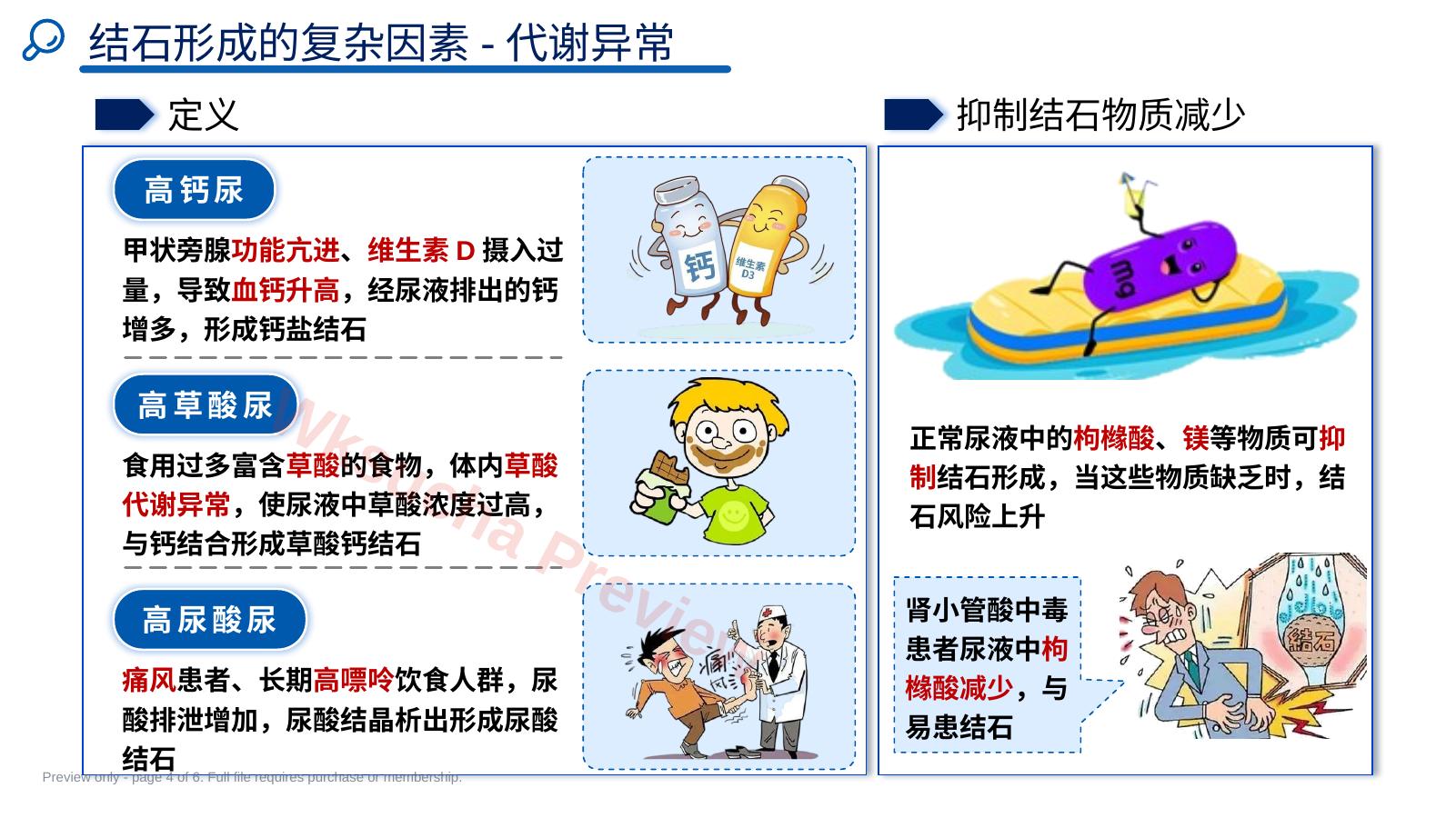 预览第 4 页