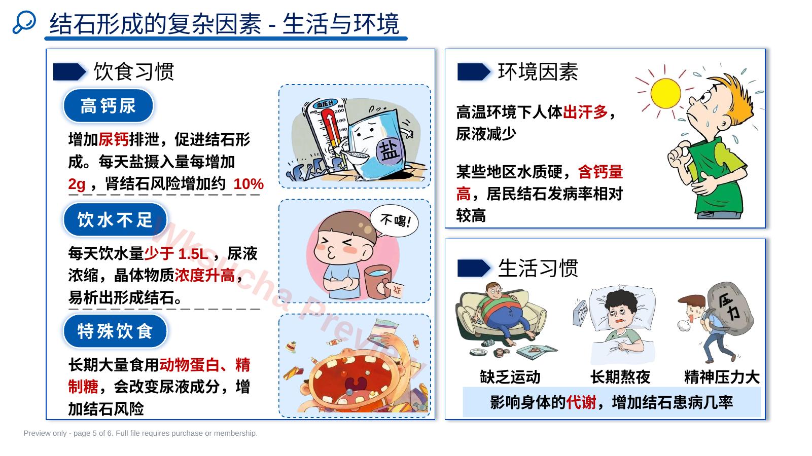 预览第 5 页