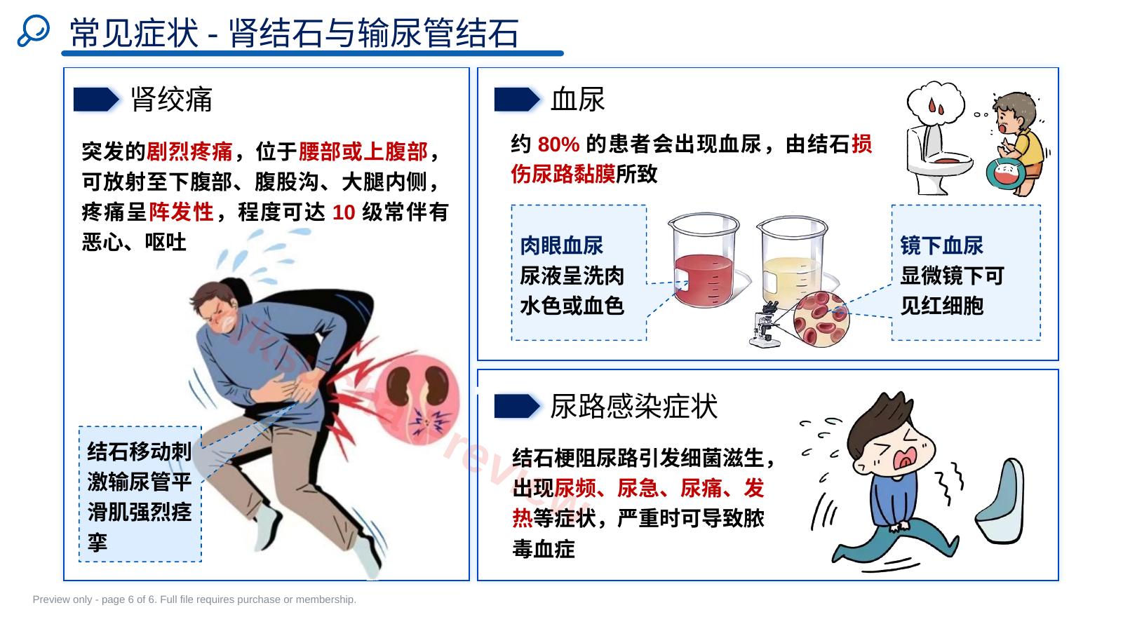 预览第 6 页