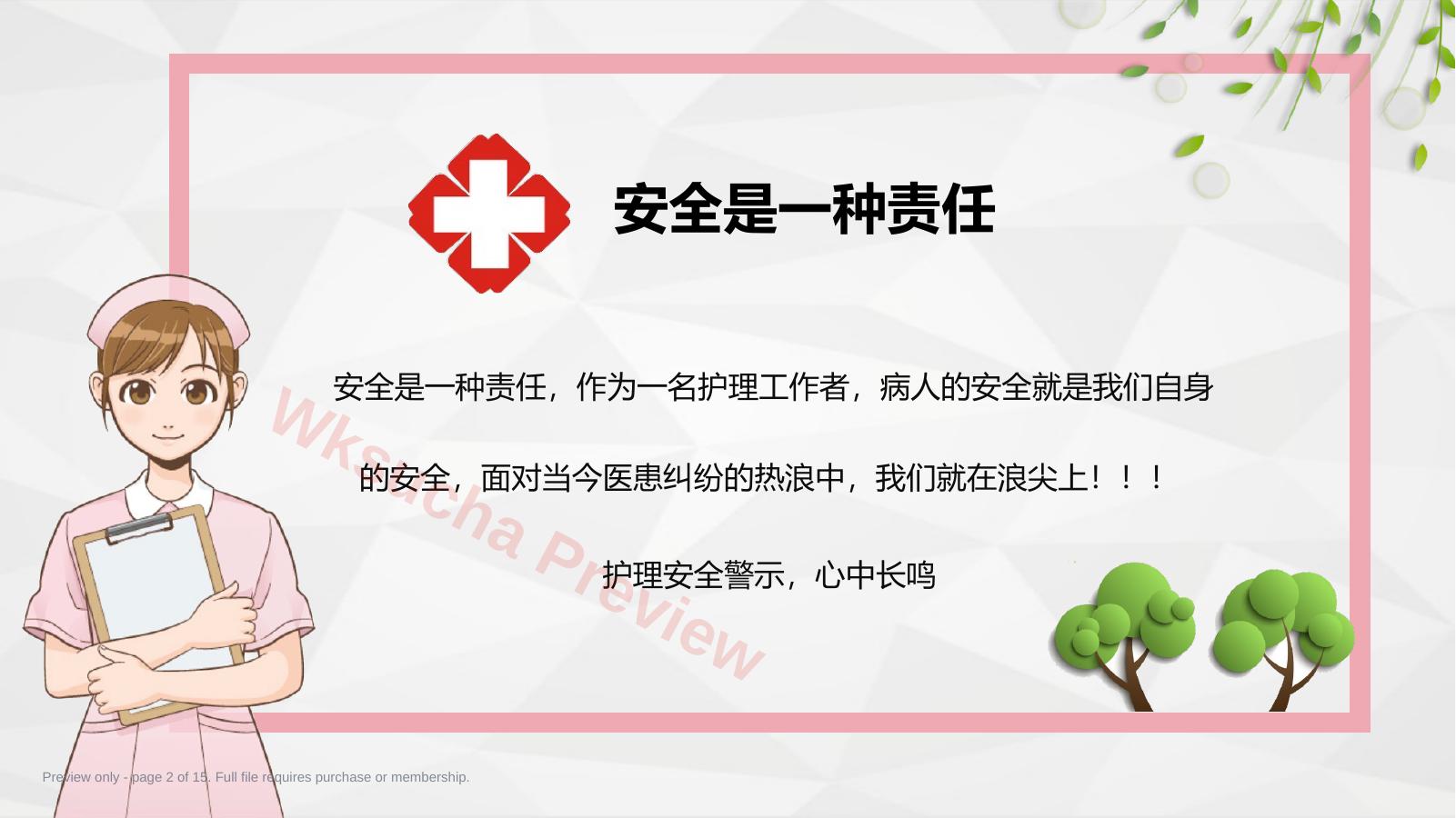 预览第 2 页