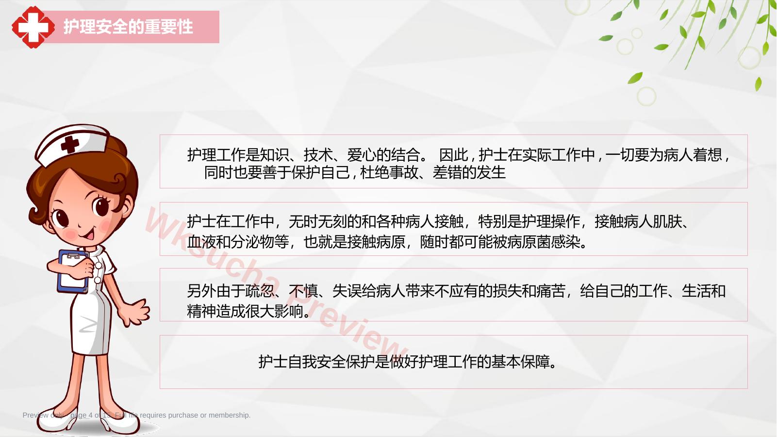 预览第 4 页