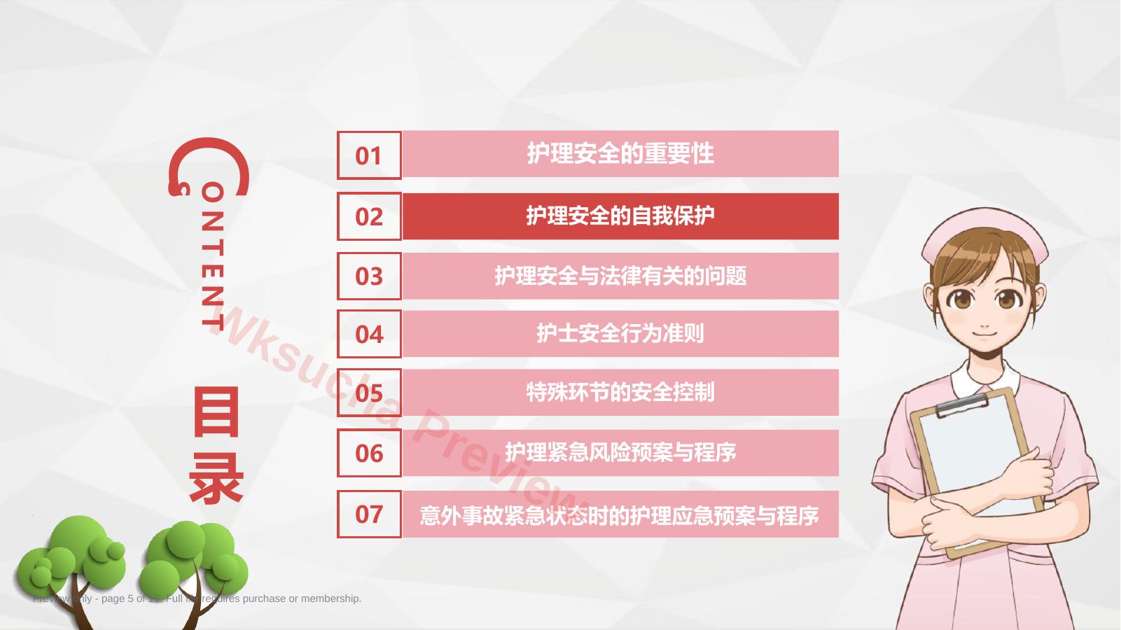 预览第 5 页