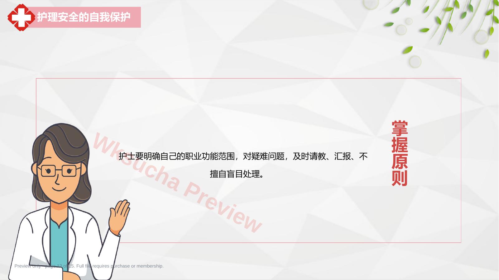 预览第 12 页