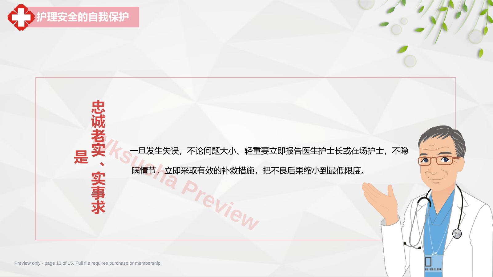 预览第 13 页