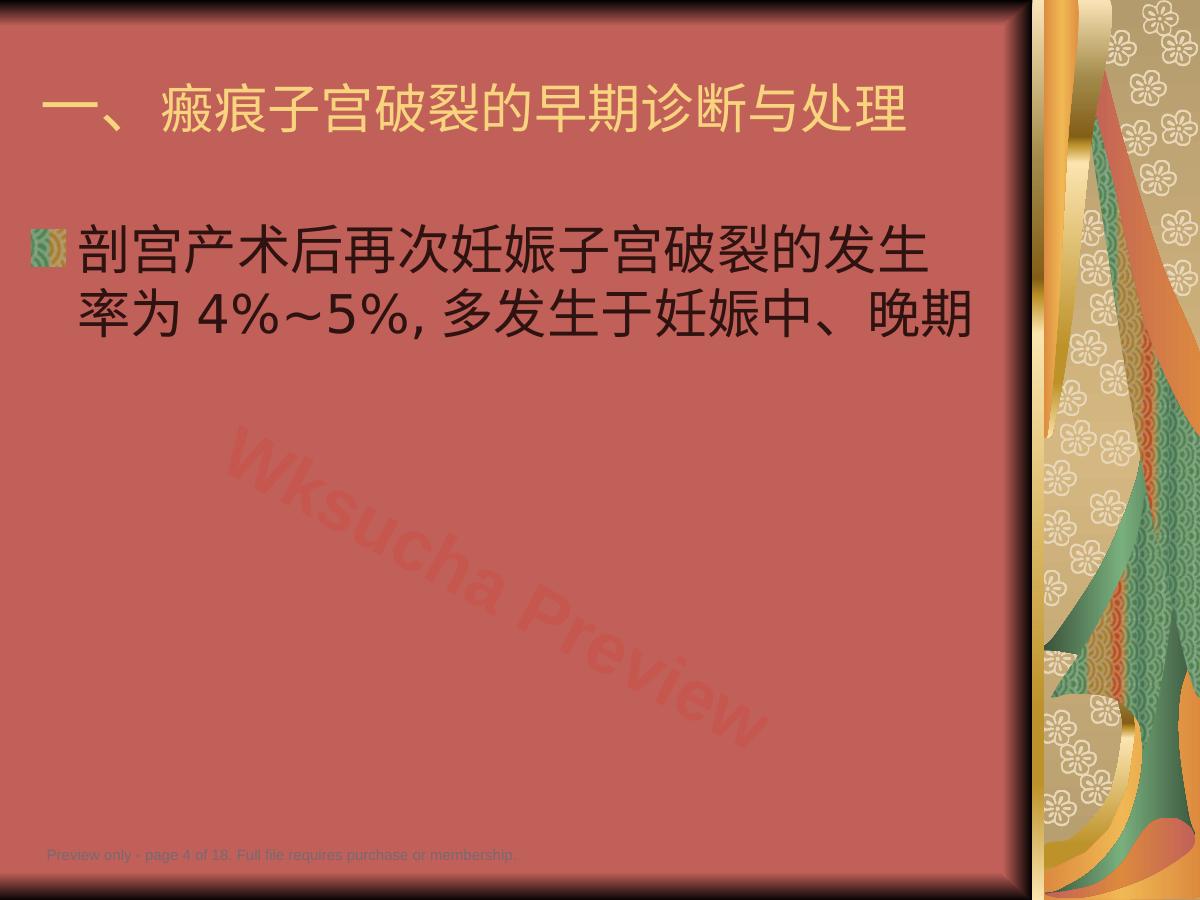 预览第 4 页
