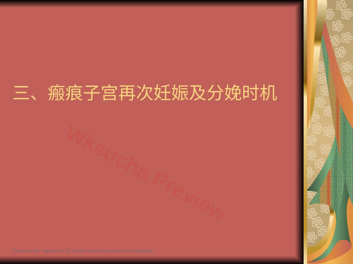 预览第 17 页