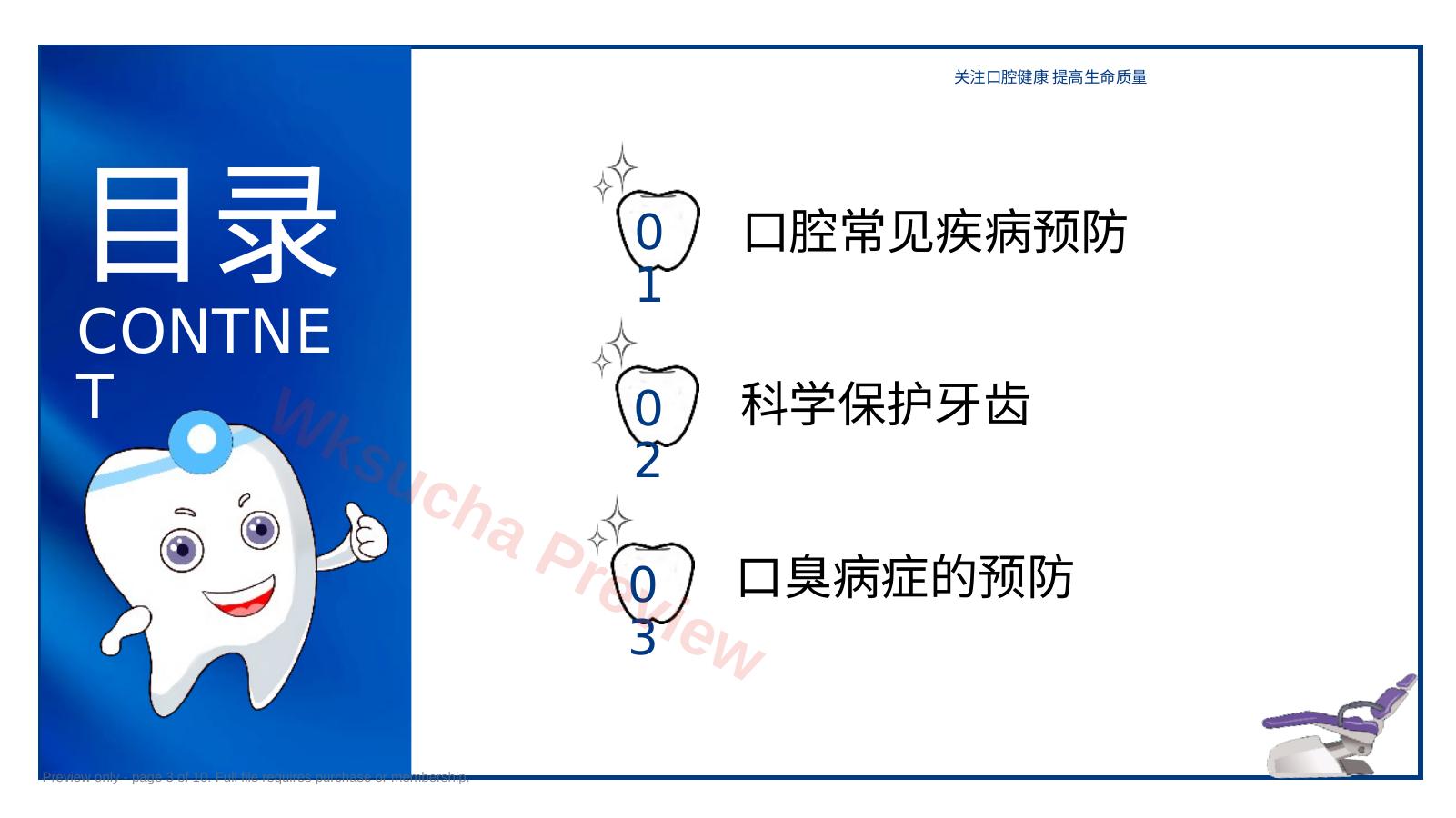 预览第 3 页