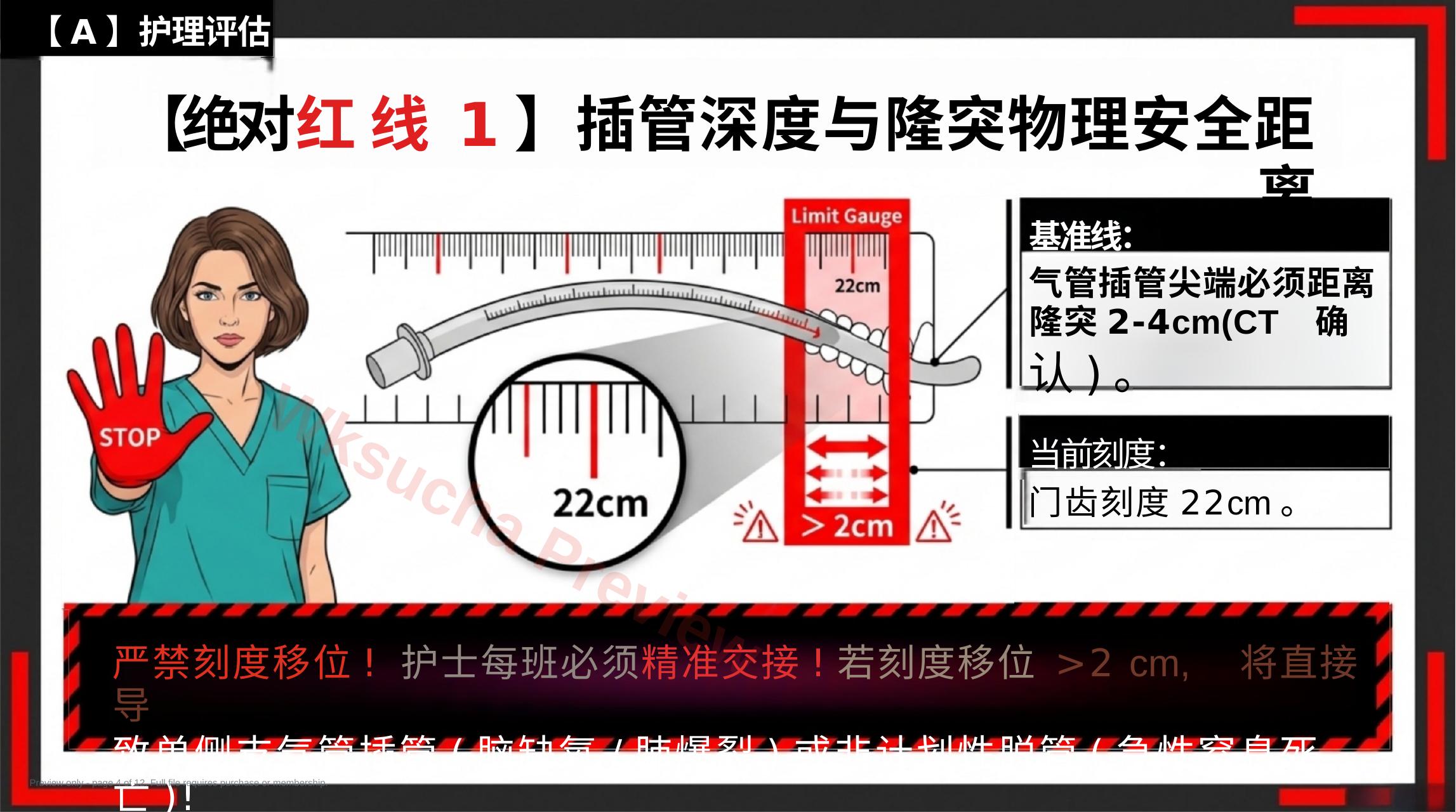 预览第 4 页