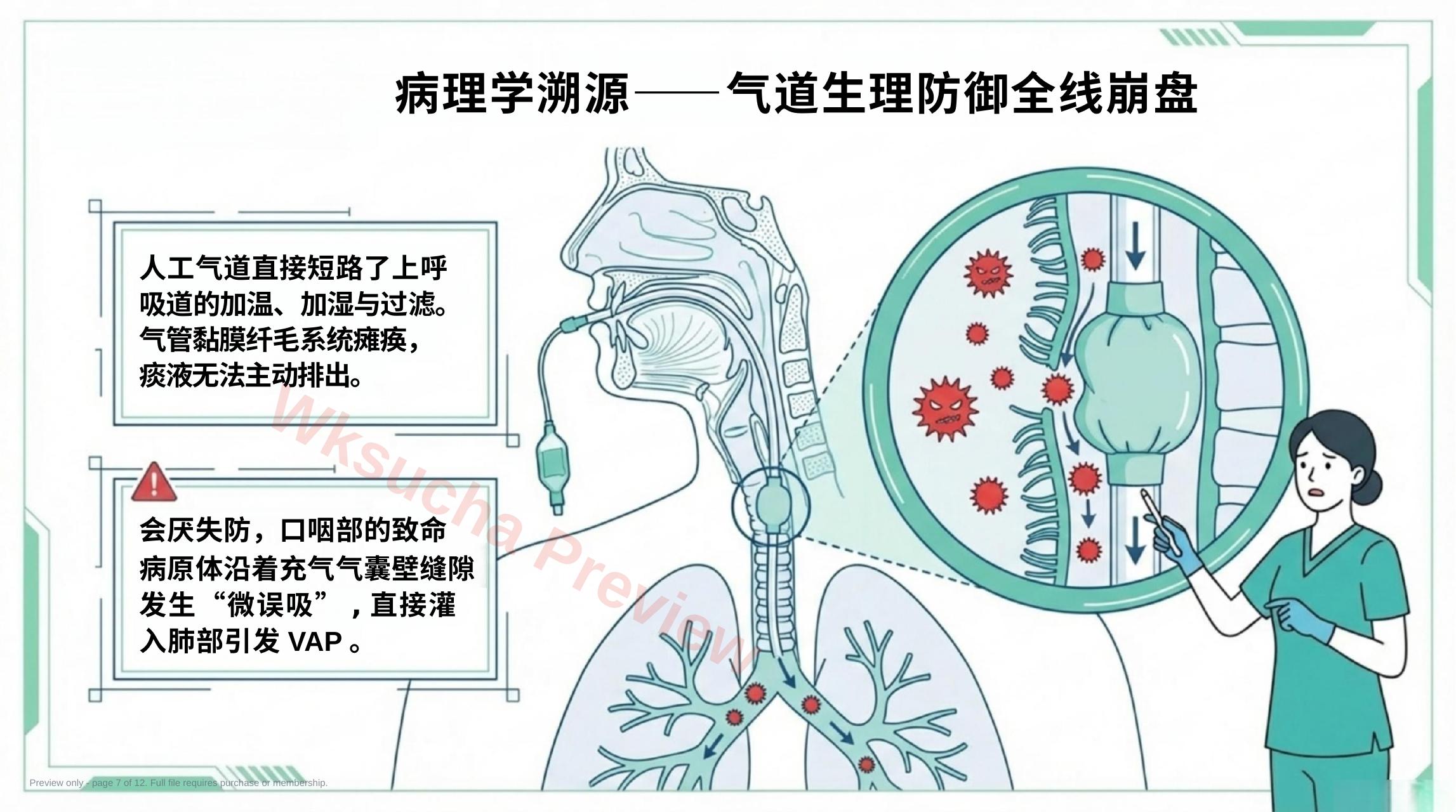 预览第 7 页