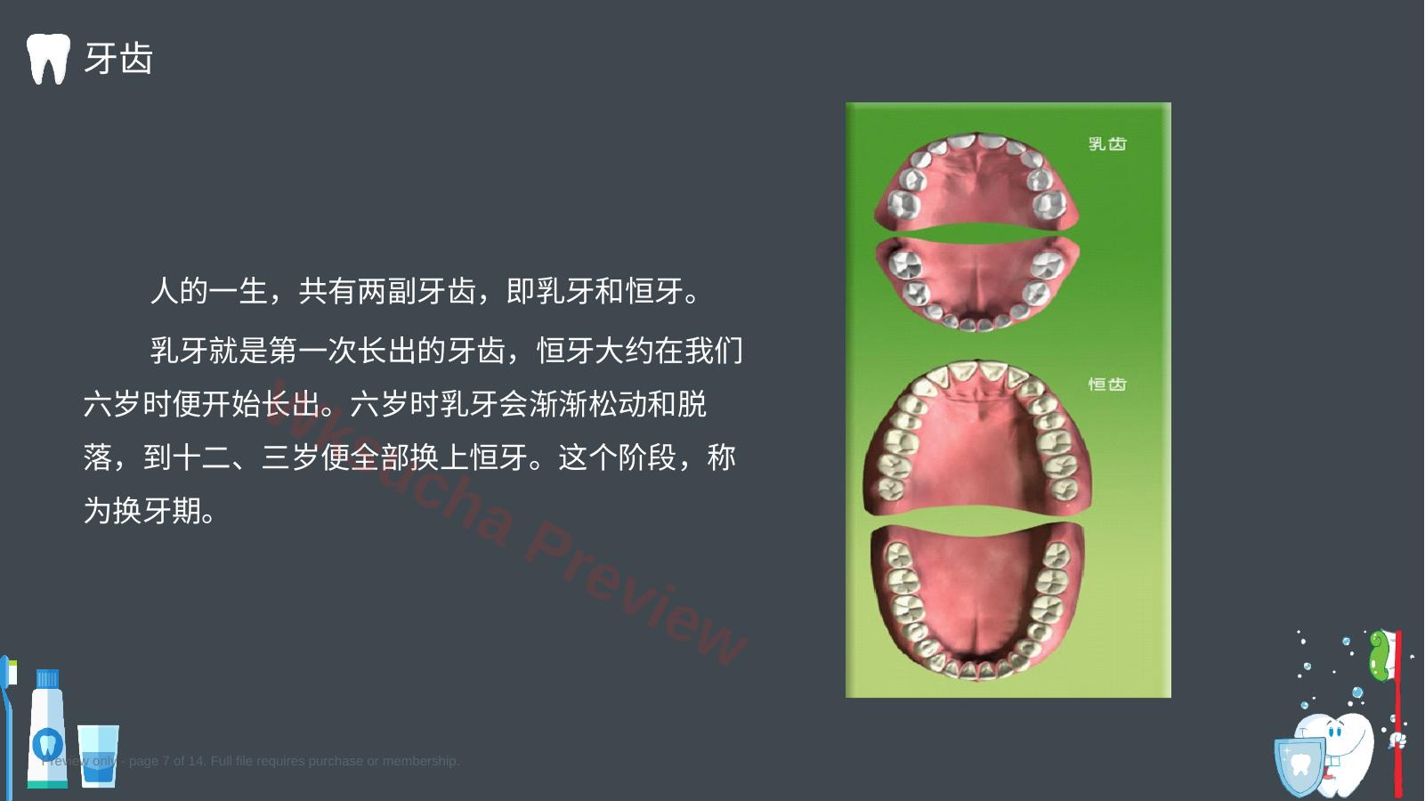 预览第 7 页