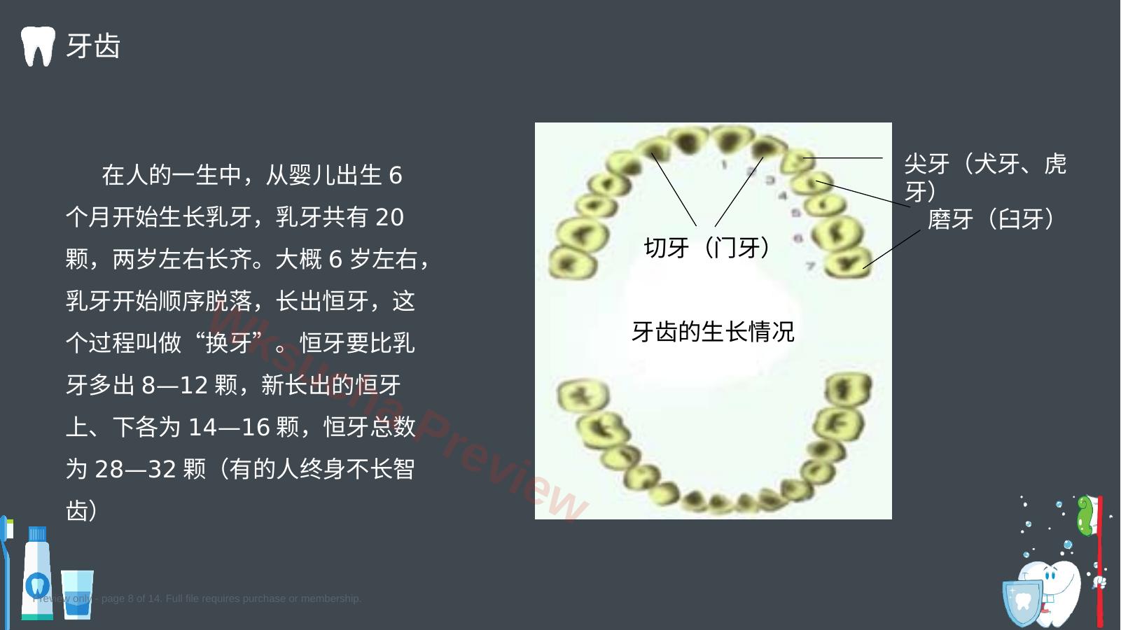预览第 8 页