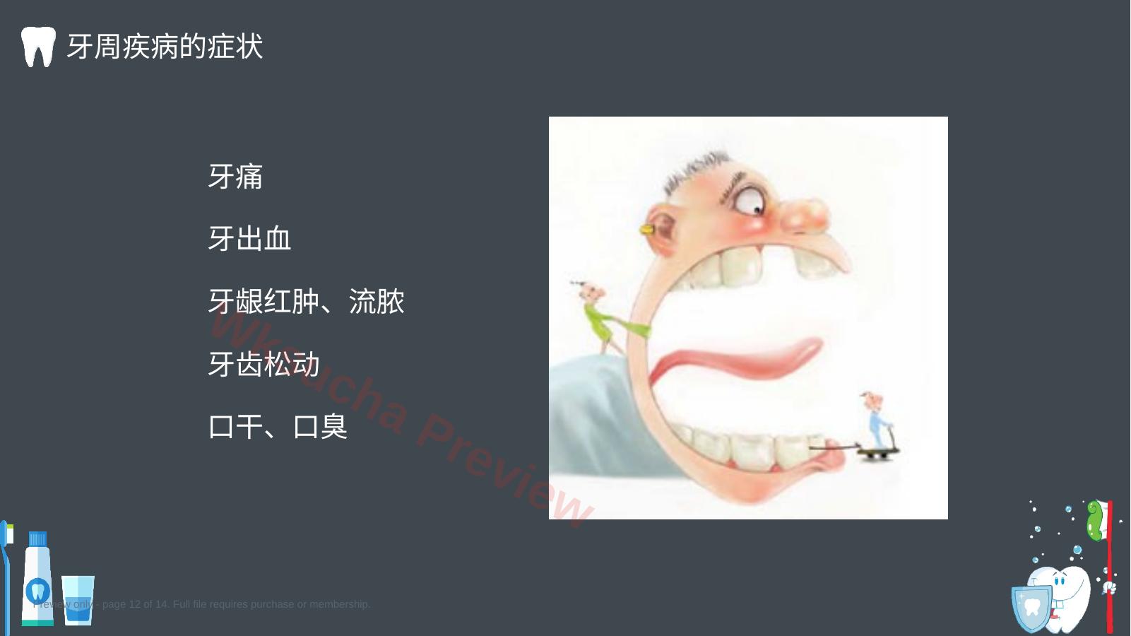 预览第 12 页