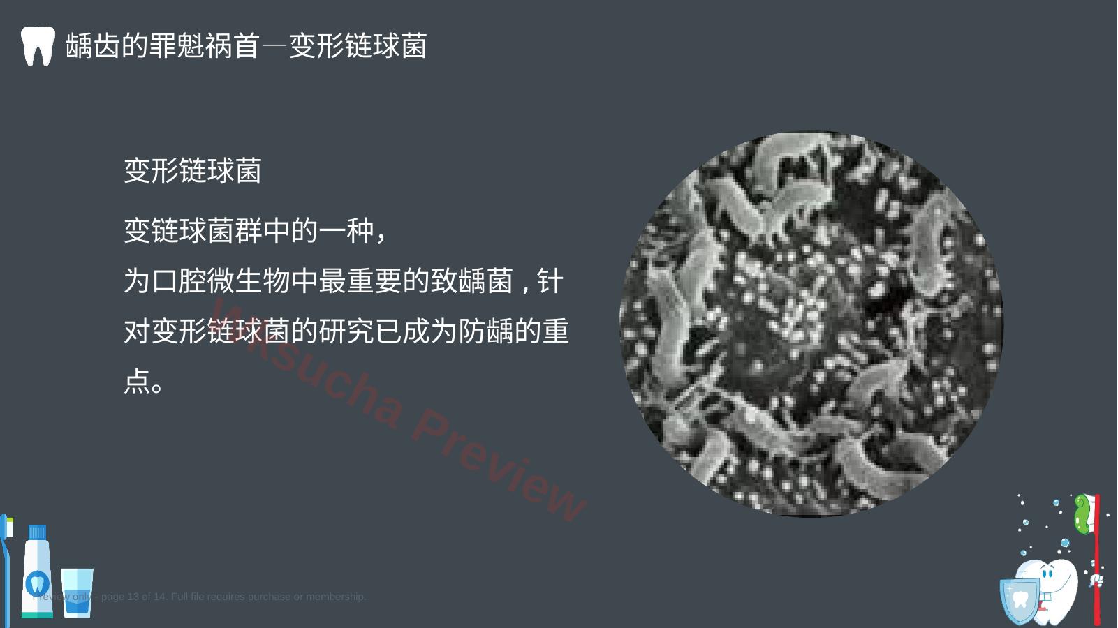 预览第 13 页