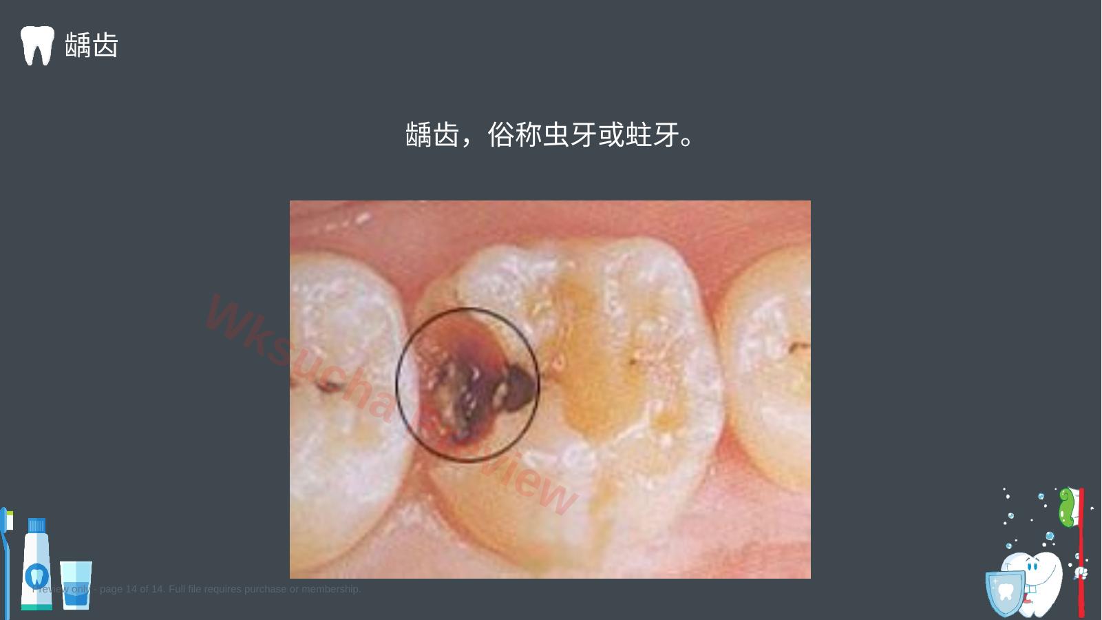预览第 14 页
