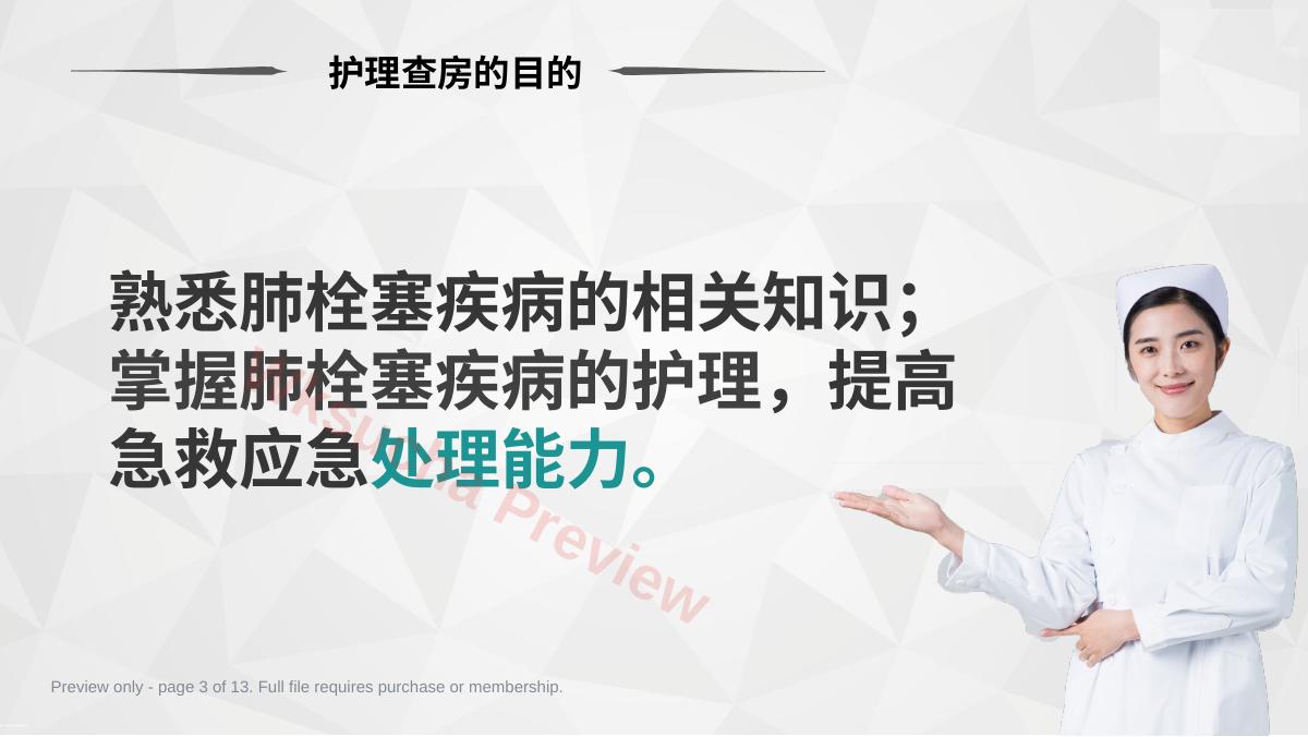 预览第 3 页