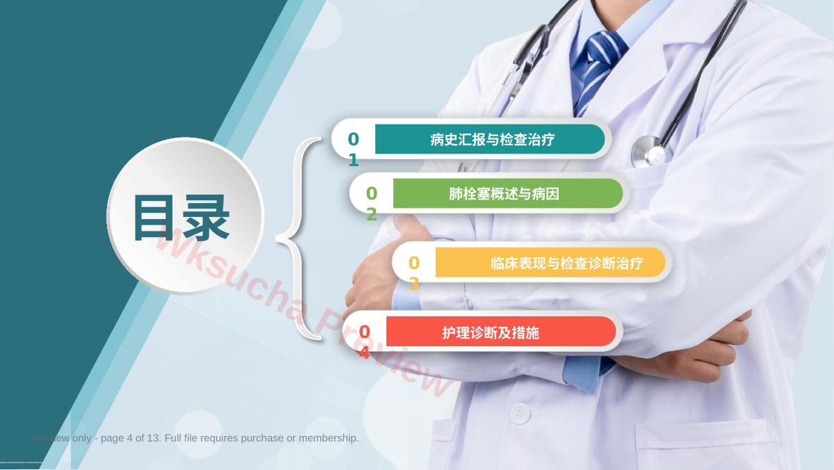 预览第 4 页