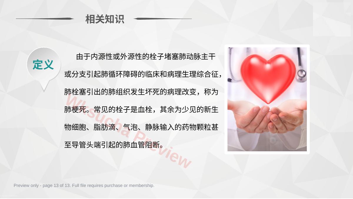 预览第 13 页