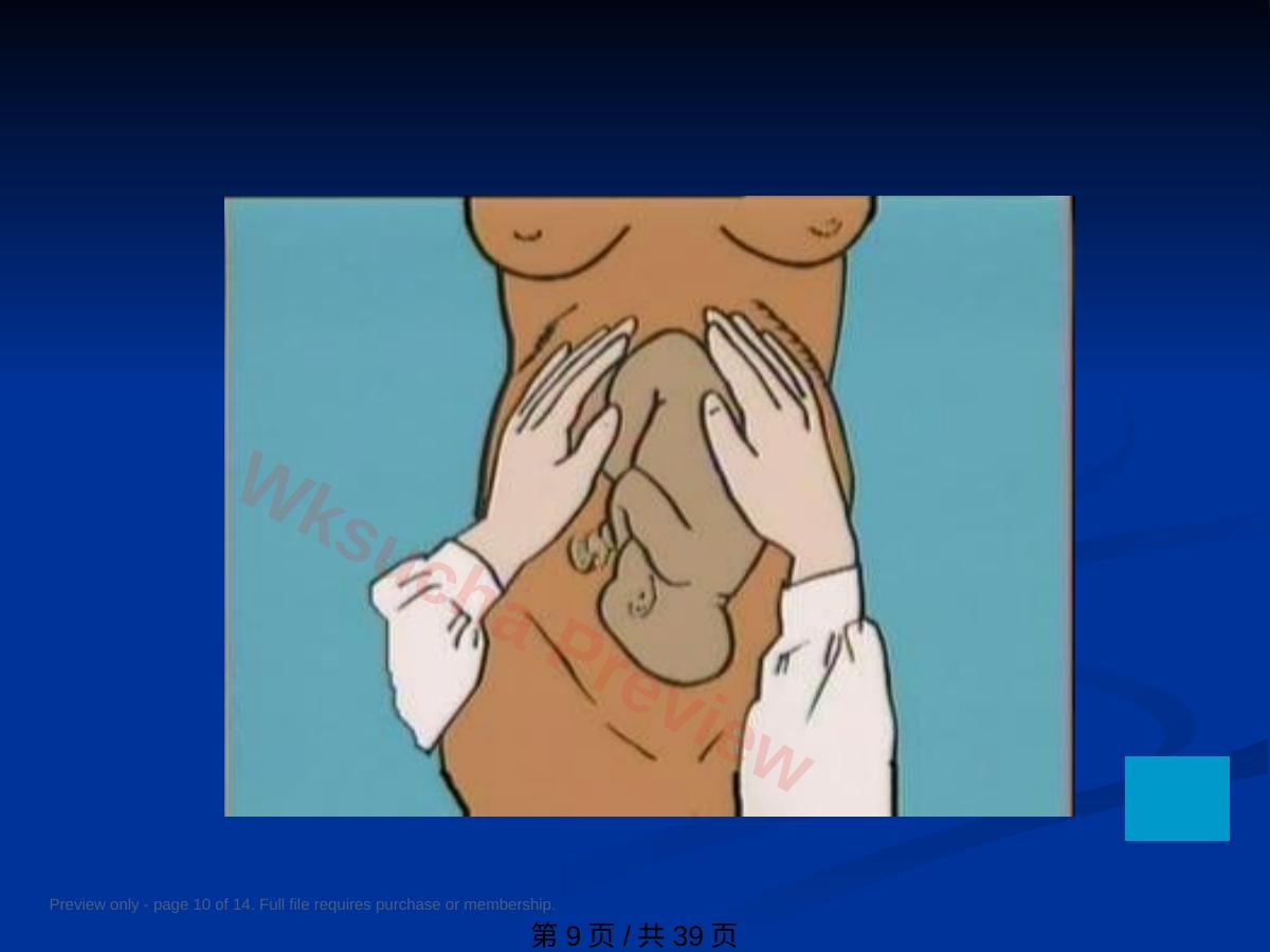 预览第 10 页