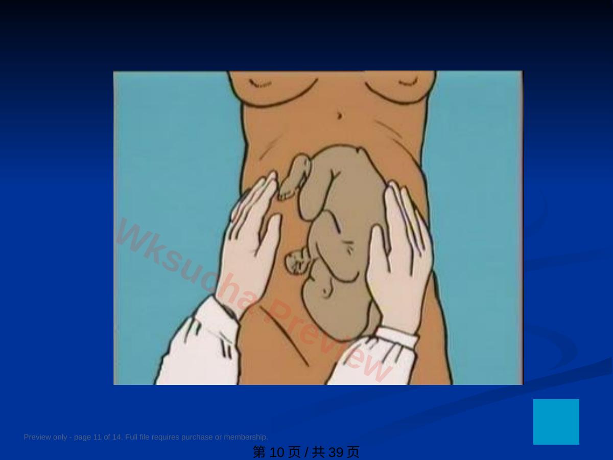 预览第 11 页