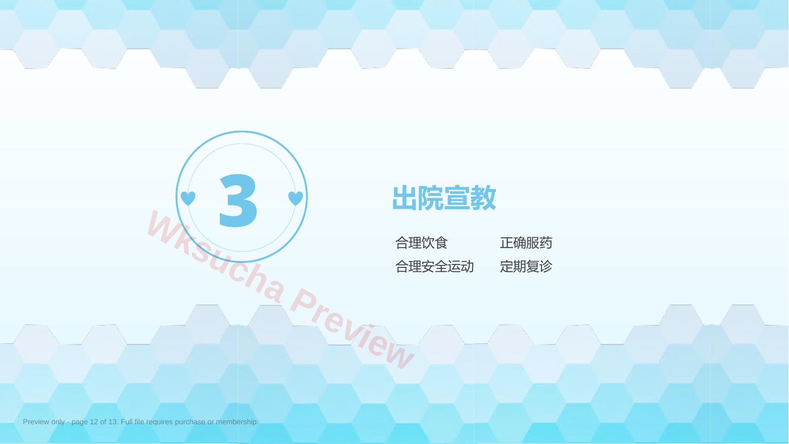 预览第 12 页