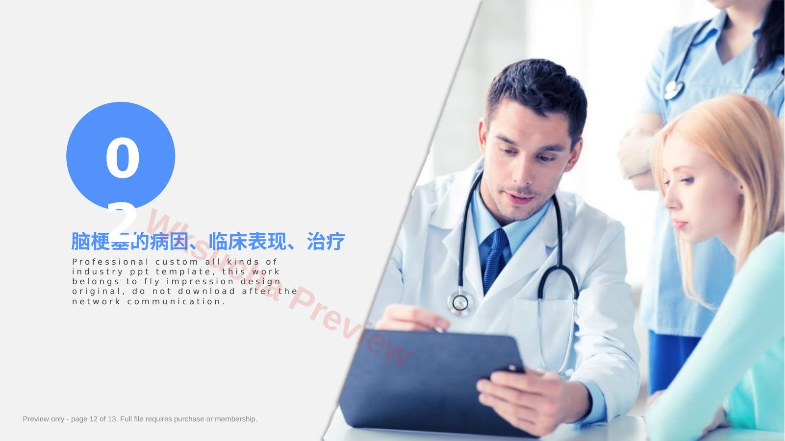 预览第 12 页