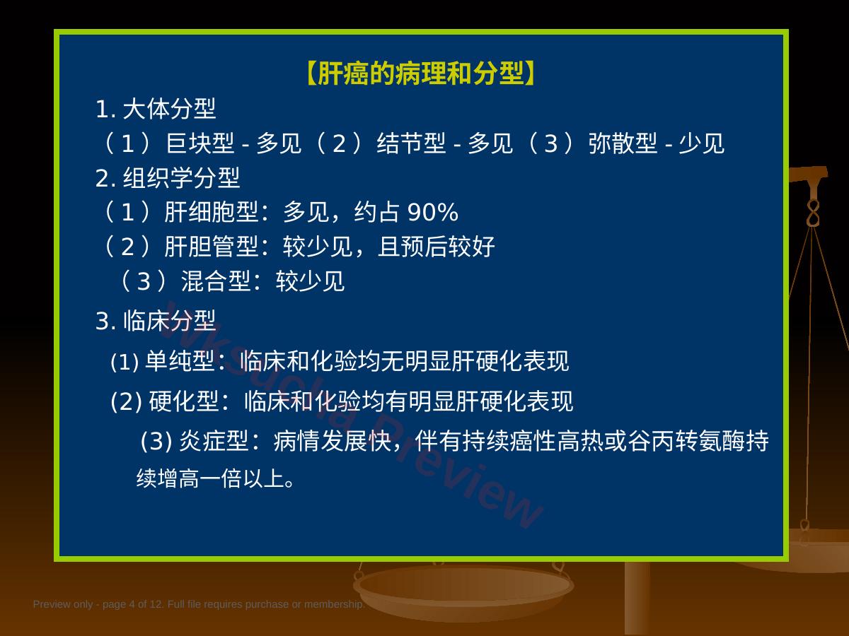 预览第 4 页