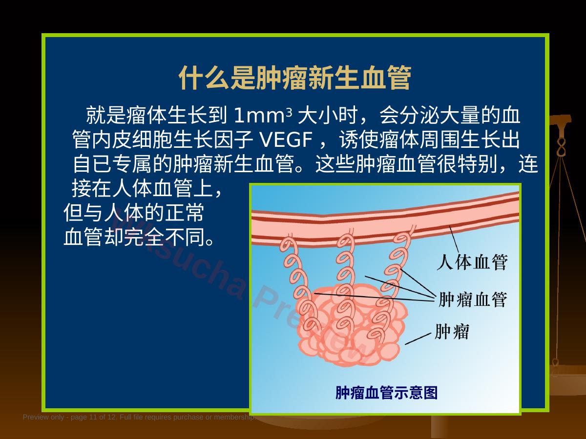 预览第 11 页