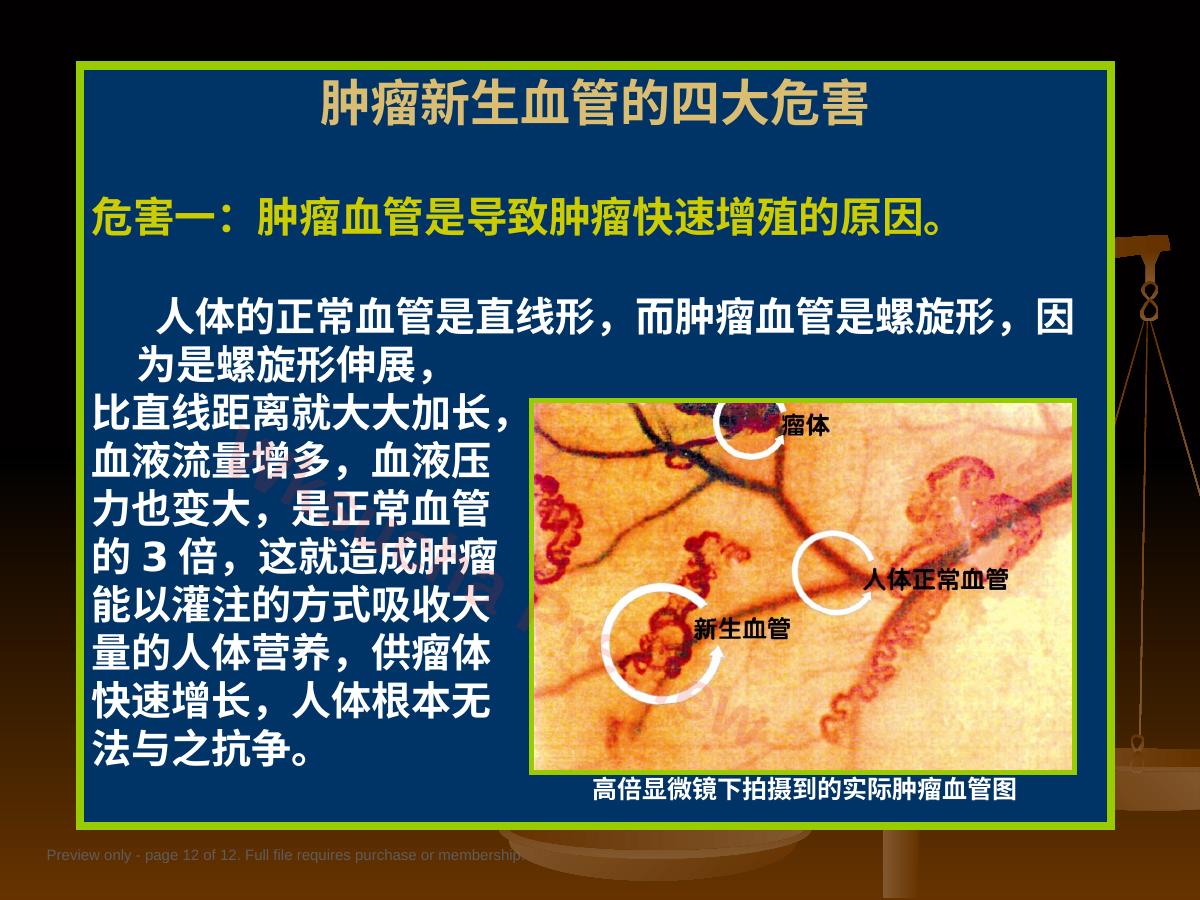 预览第 12 页