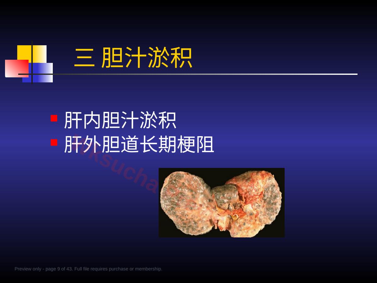 预览第 9 页