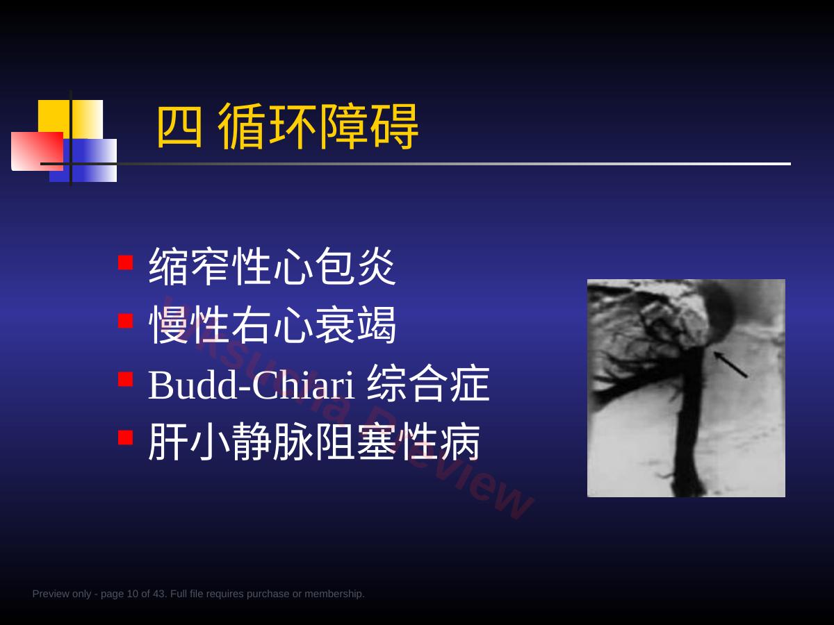 预览第 10 页