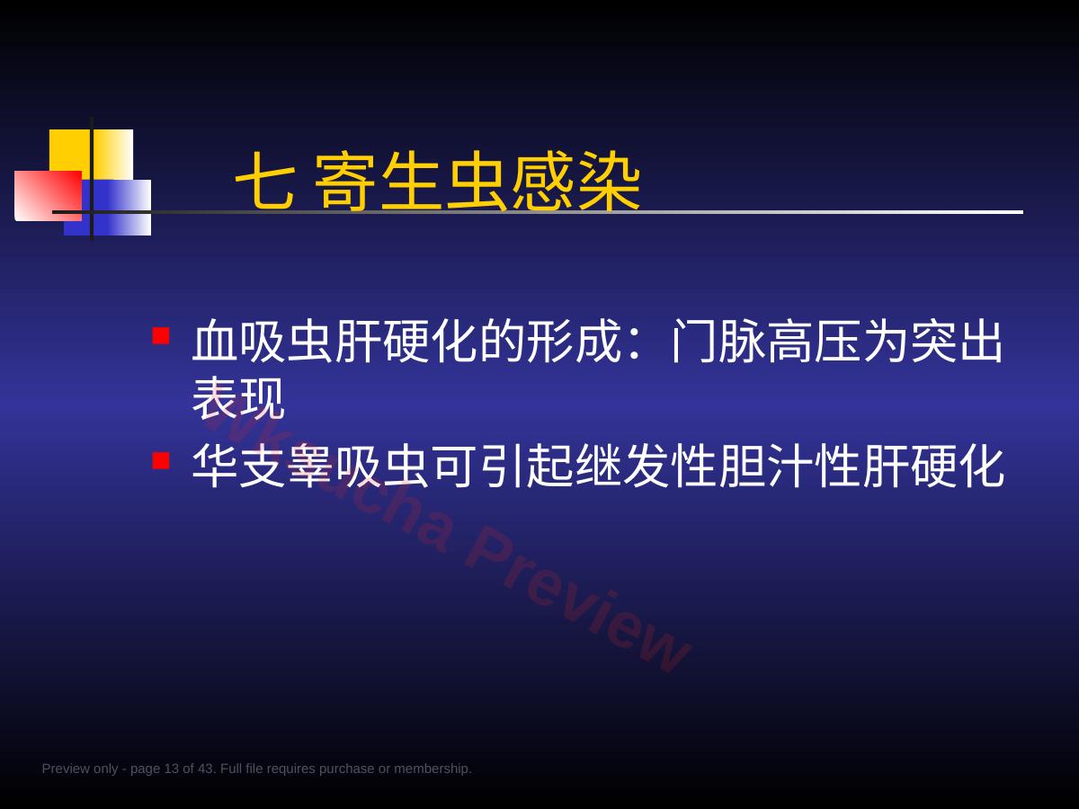 预览第 13 页