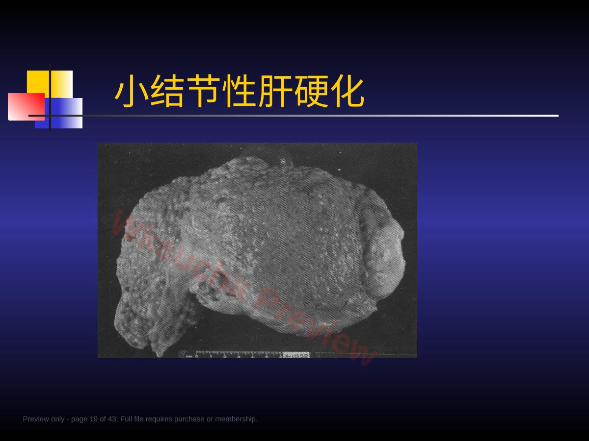 预览第 19 页