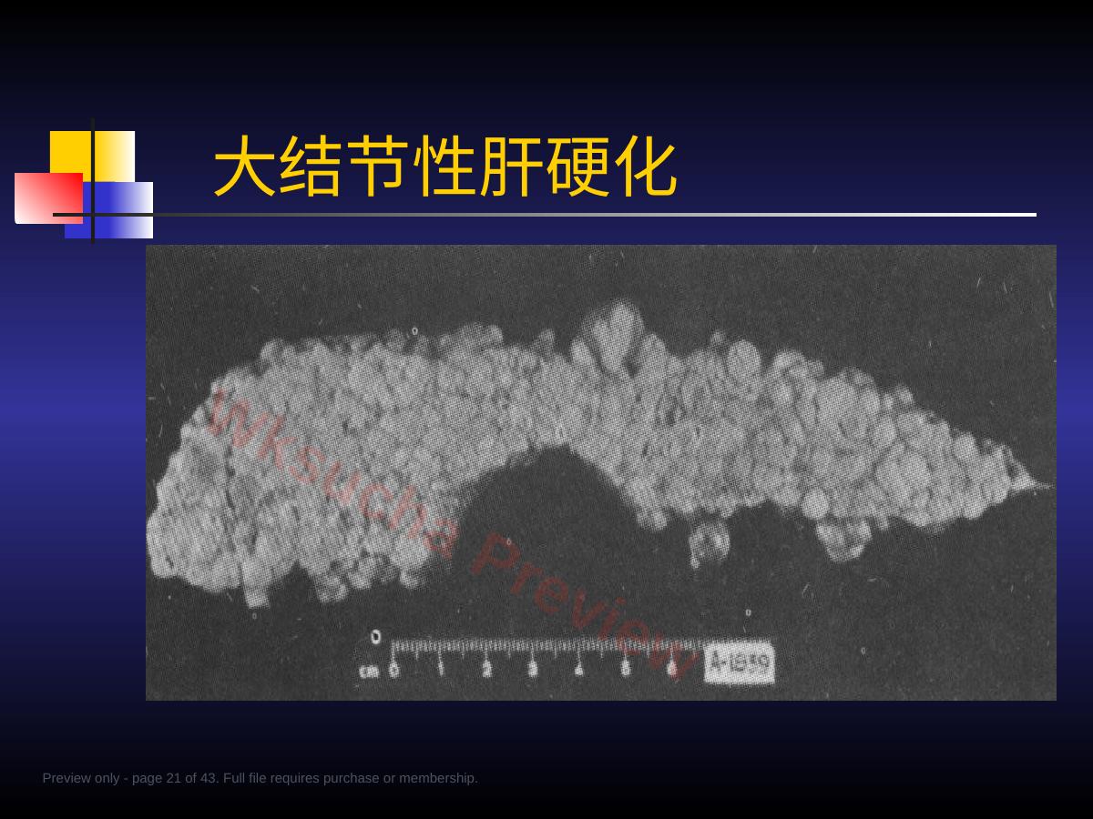 预览第 21 页