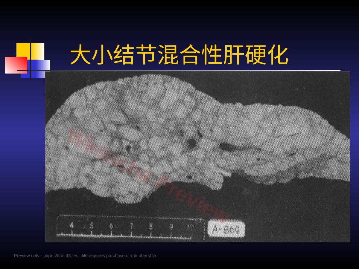预览第 25 页