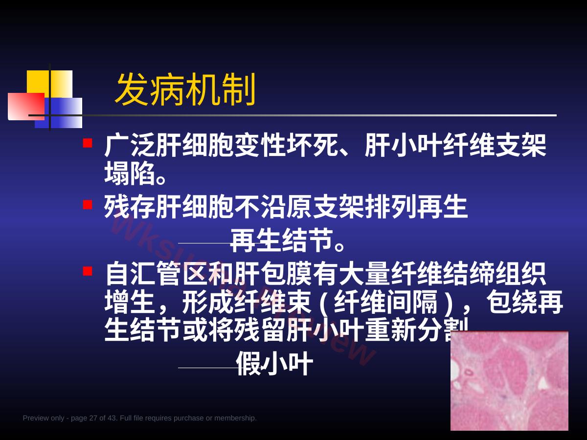 预览第 27 页