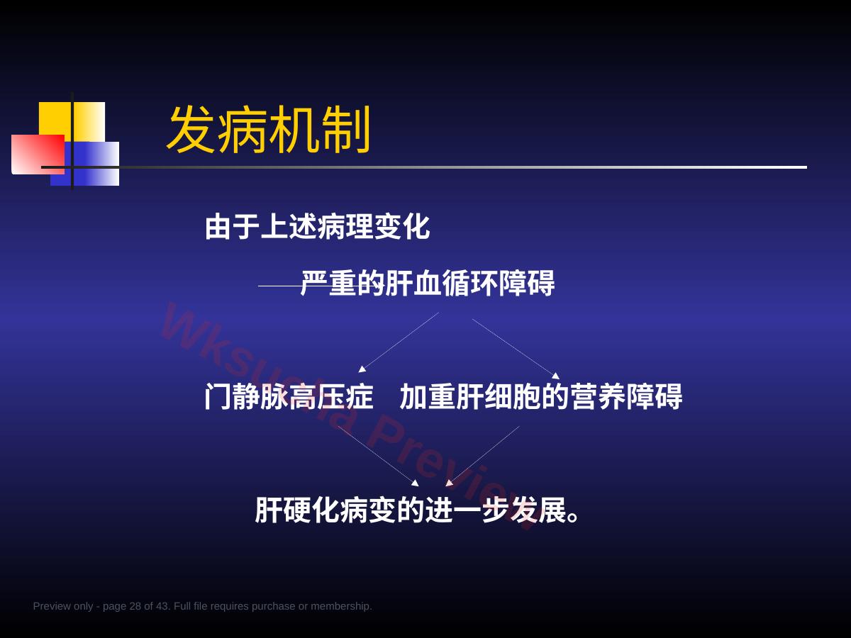 预览第 28 页