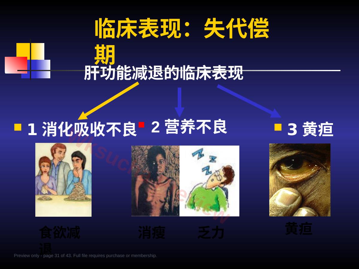 预览第 31 页