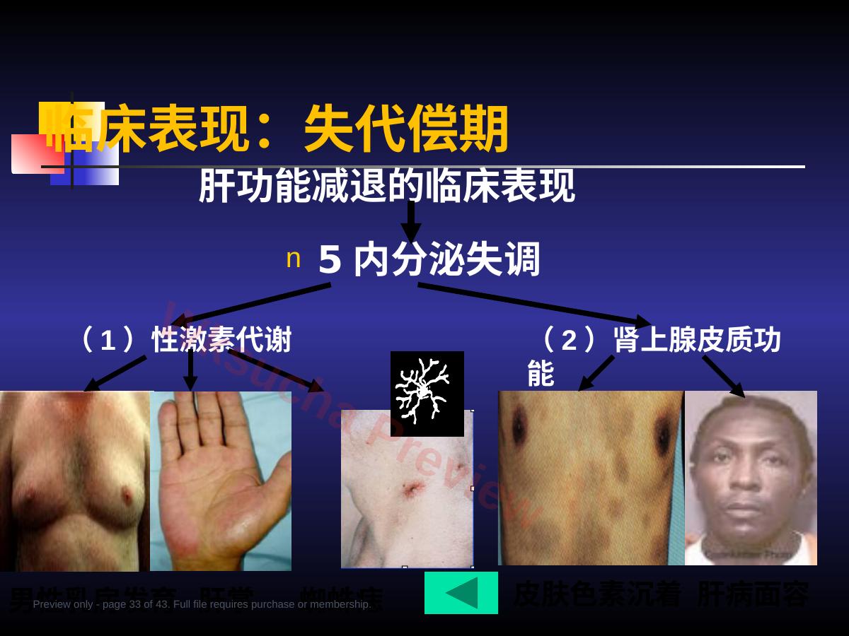 预览第 33 页