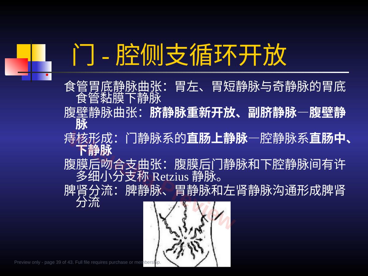 预览第 39 页