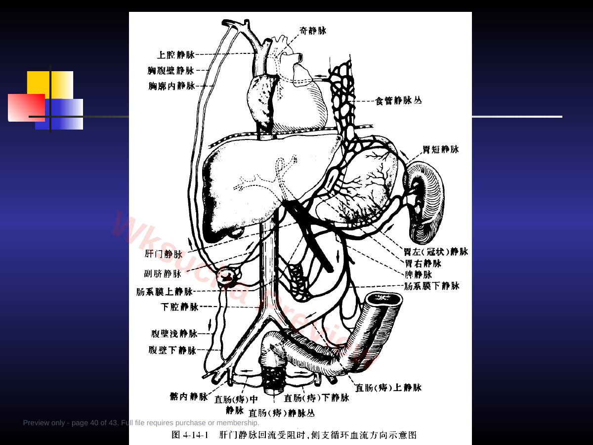 预览第 40 页
