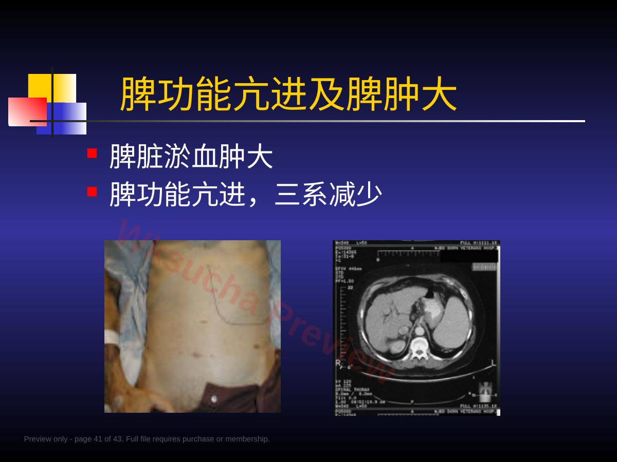 预览第 41 页